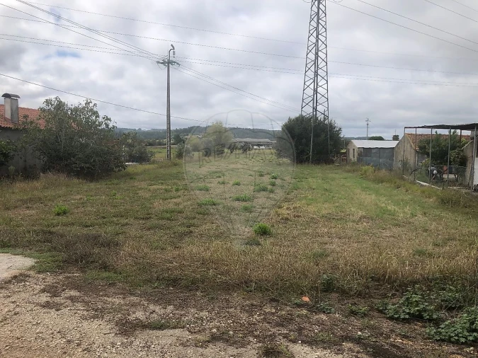 Terreno para Venda em Santo Varão Foto 15