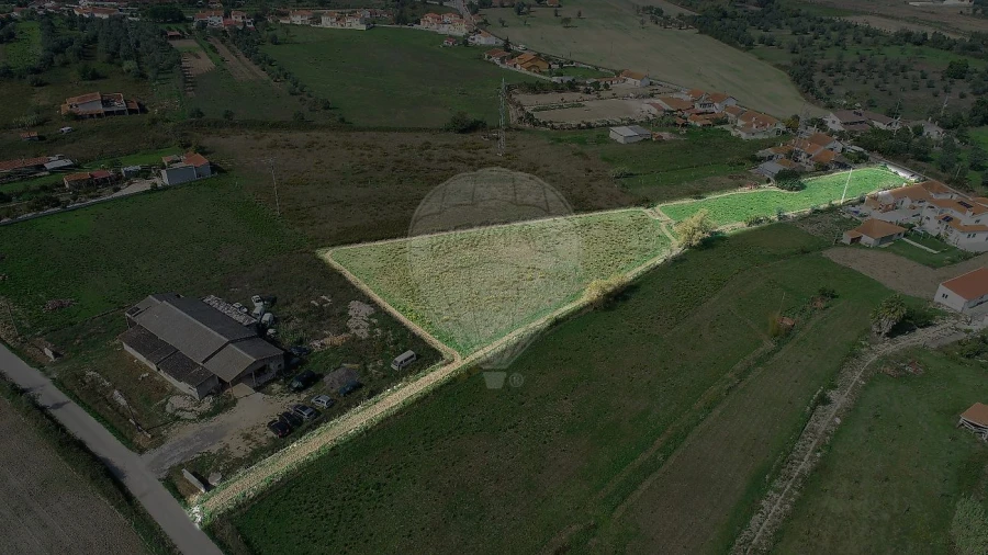 Terreno para Venda em Santo Varão Foto 8