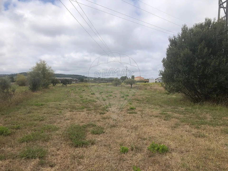 Terreno para Venda em Santo Varão Foto 6