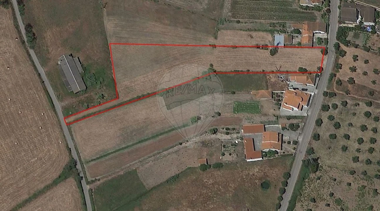 Terreno para Venda em Santo Varão Foto 2