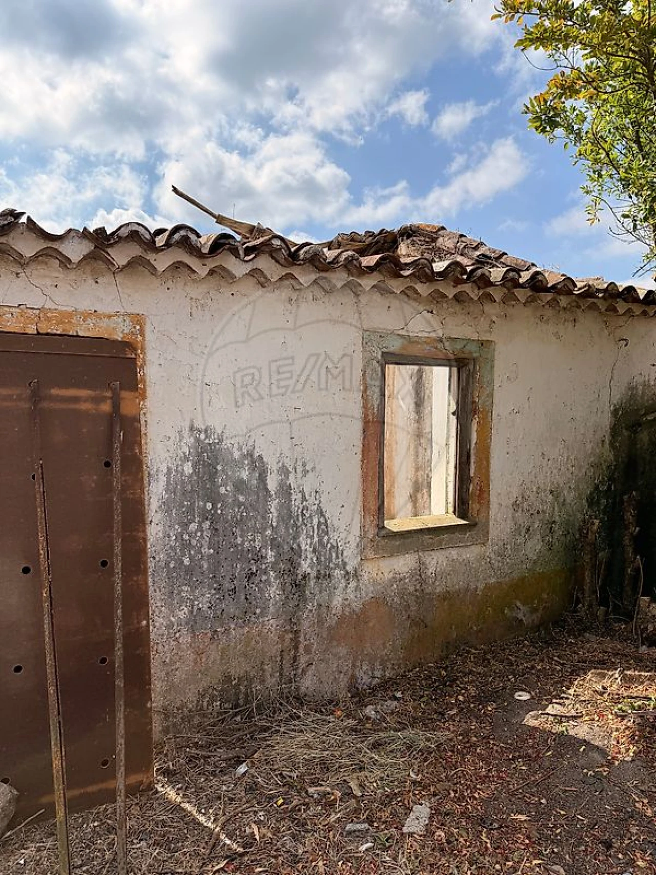 Armazém para Venda em Belver Foto 4