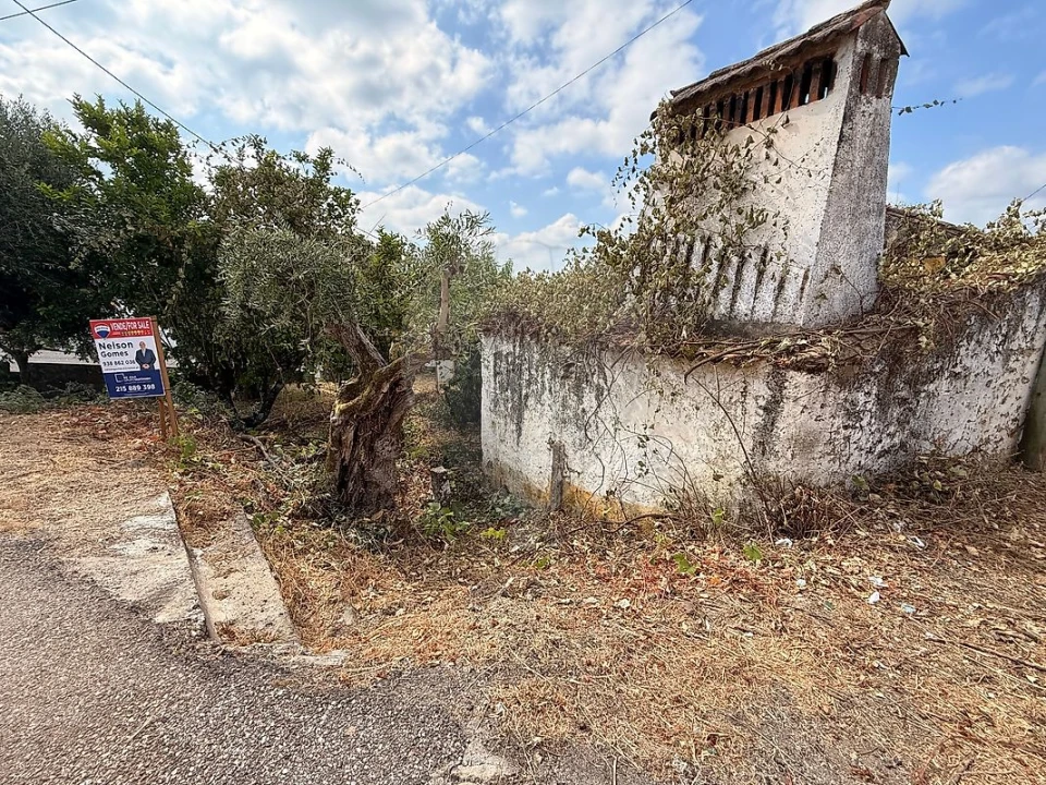 Armazém para Venda em Belver Foto 3