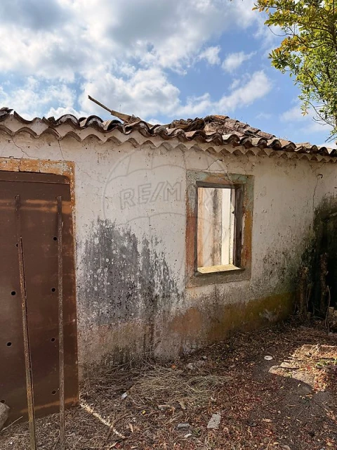 Armazém para Venda em Belver