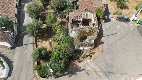 Armazém para Venda em Belver