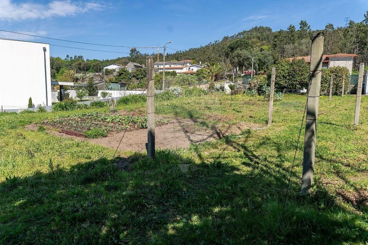 Moradia T3 para Venda em Ferreiros, Prozelo e Besteiros Foto 38