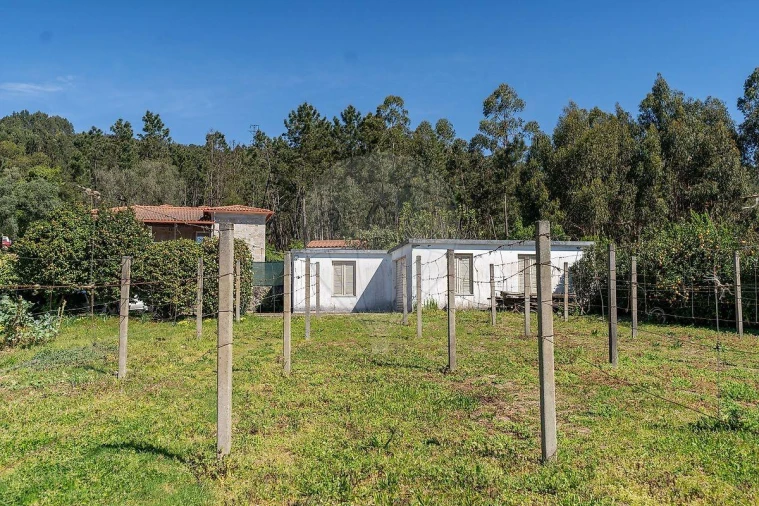 Moradia T3 para Venda em Ferreiros, Prozelo e Besteiros Foto 40