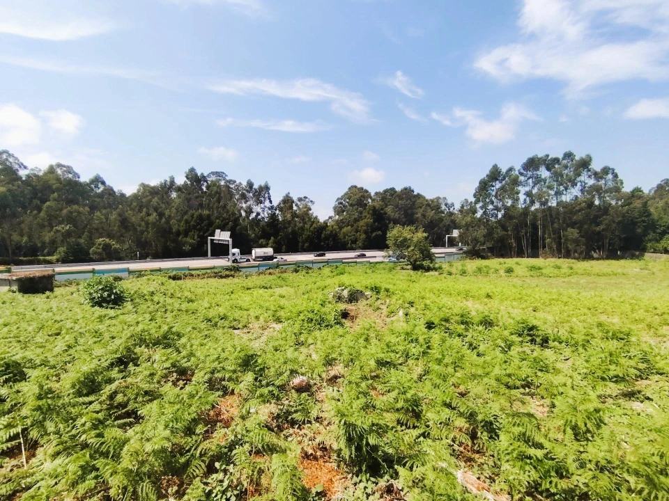 Terreno para Venda em Grijó e Sermonde Foto 13