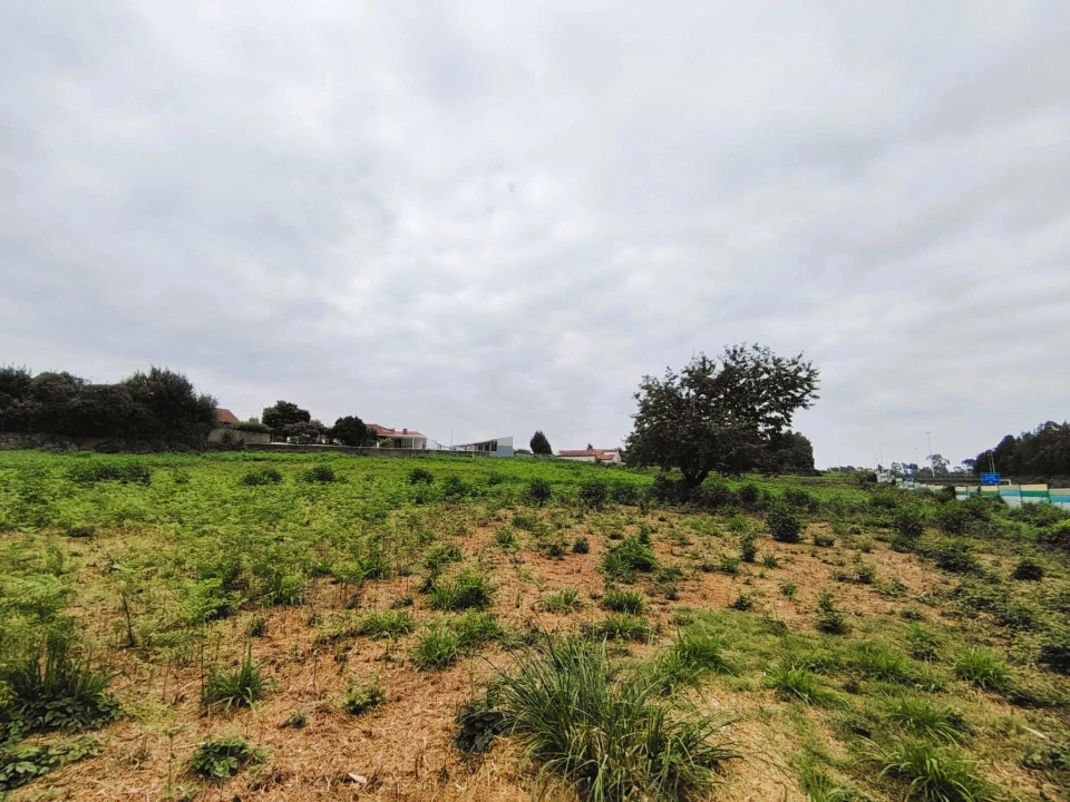 Terreno para Venda em Grijó e Sermonde Foto 14