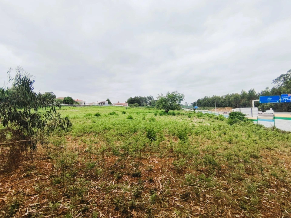 Terreno para Venda em Grijó e Sermonde Foto 15