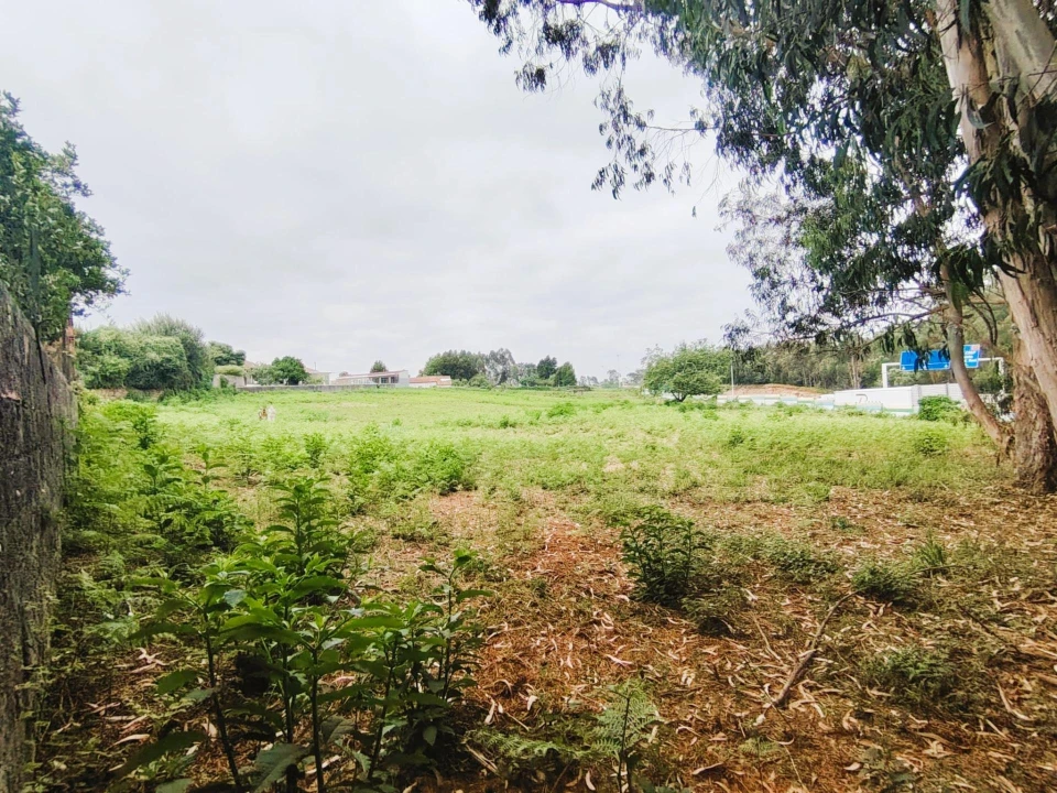 Terreno para Venda em Grijó e Sermonde Foto 17