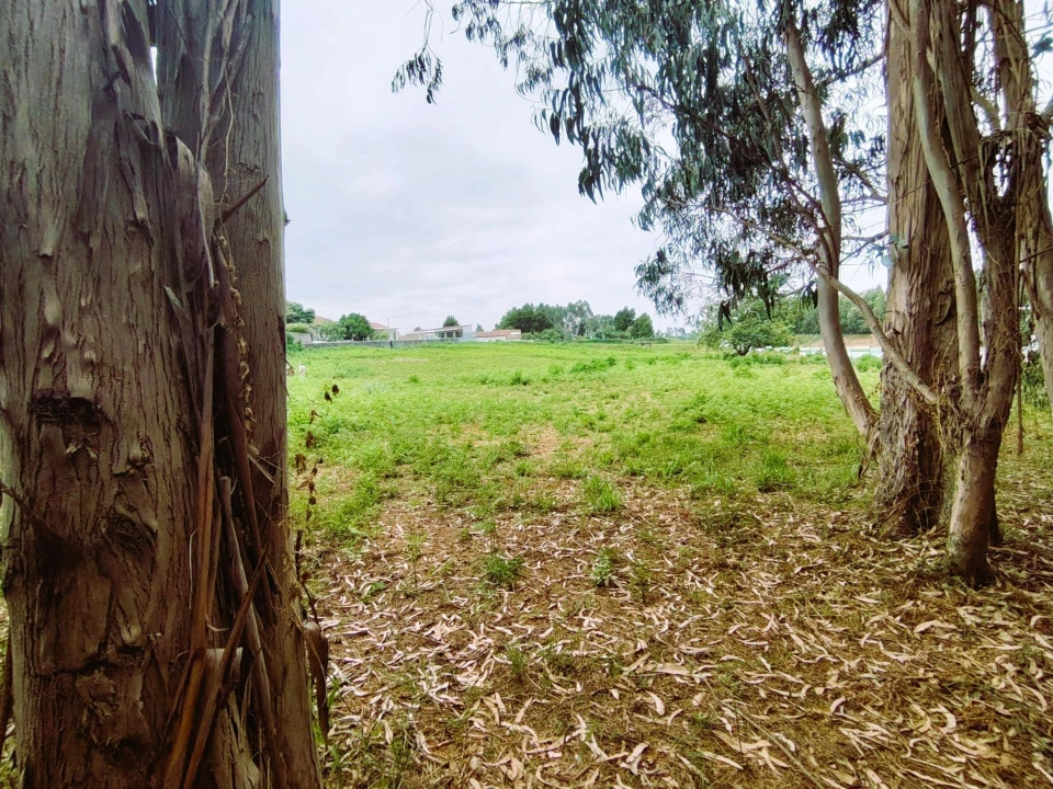 Terreno para Venda em Grijó e Sermonde Foto 19