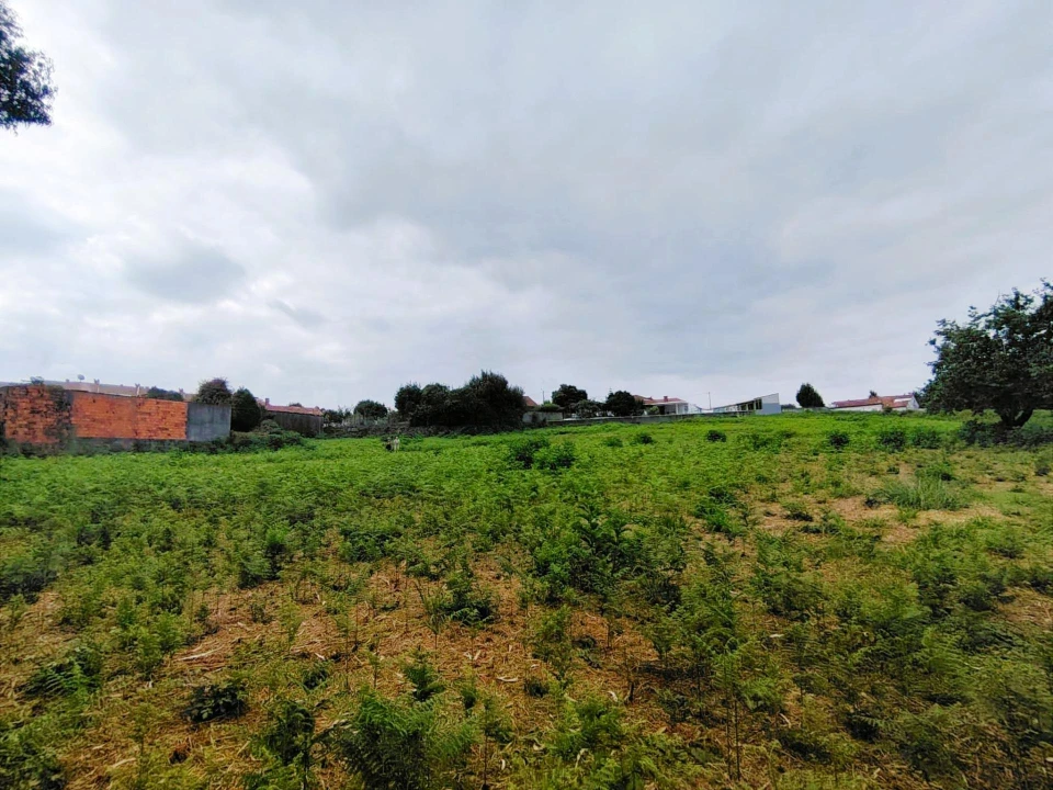 Terreno para Venda em Grijó e Sermonde Foto 4
