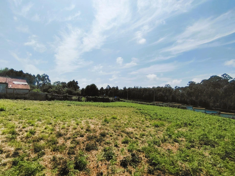 Terreno para Venda em Grijó e Sermonde Foto 6