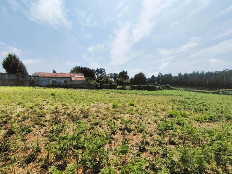 Terreno para Venda em Grijó e Sermonde Foto 9
