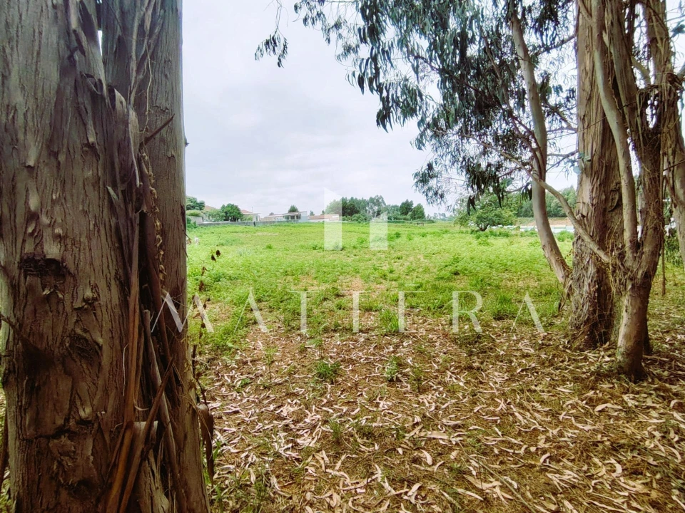 Terreno para Venda em Grijó e Sermonde Foto 18