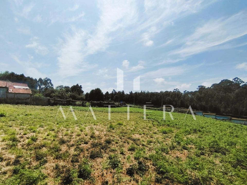 Terreno para Venda em Grijó e Sermonde Foto 6