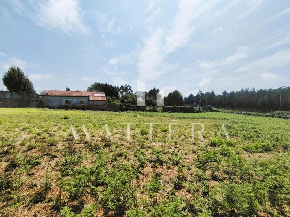 Terreno para Venda em Grijó e Sermonde Foto 8