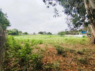Terreno para Venda em Grijó e Sermonde