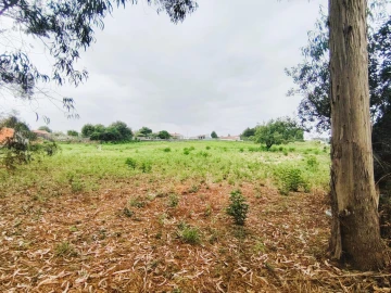 Terreno para Venda em Grijó e Sermonde