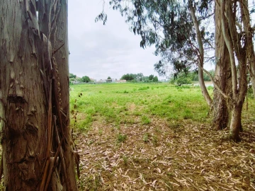 Terreno para Venda em Grijó e Sermonde
