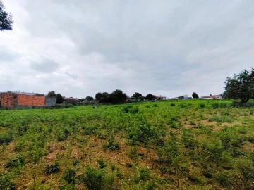 Terreno para Venda em Grijó e Sermonde