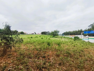 Terreno para Venda em Grijó e Sermonde
