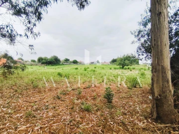 Terreno para Venda em Grijó e Sermonde