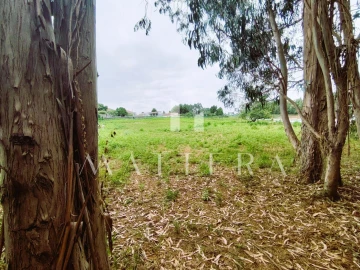 Terreno para Venda em Grijó e Sermonde