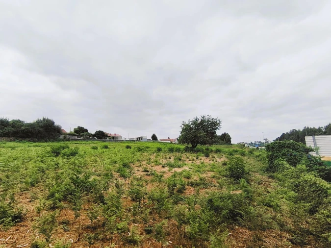 Terreno para Venda em Grijó e Sermonde Foto 12