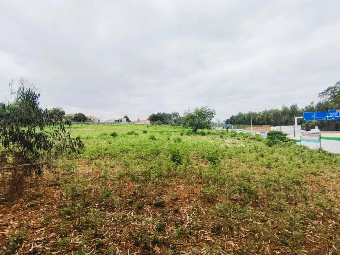 Terreno para Venda em Grijó e Sermonde Foto 15
