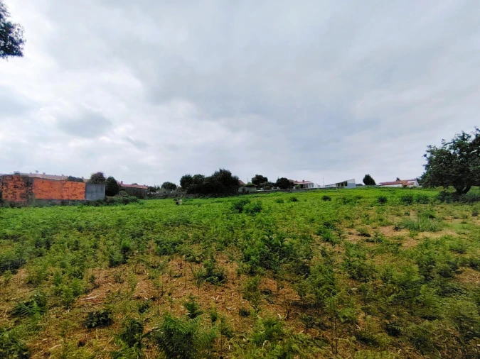 Terreno para Venda em Grijó e Sermonde Foto 4