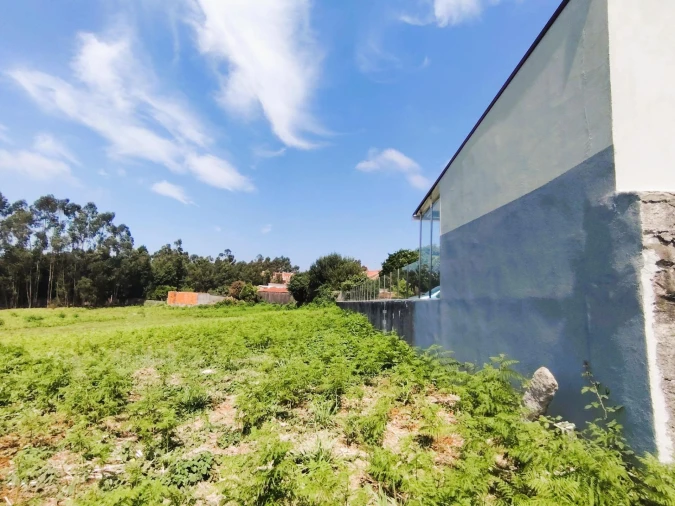 Terreno para Venda em Grijó e Sermonde Foto 5