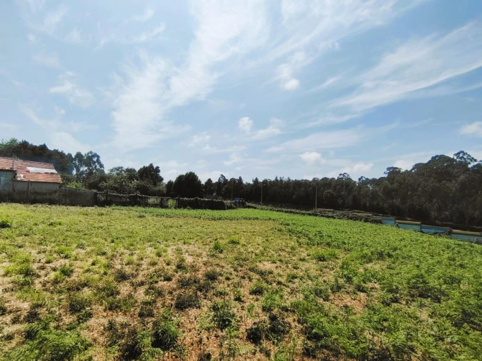 Terreno para Venda em Grijó e Sermonde Foto 6