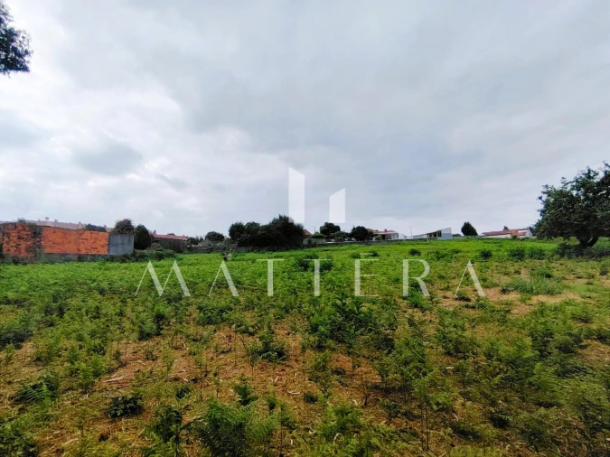 Terreno para Venda em Grijó e Sermonde Foto 4