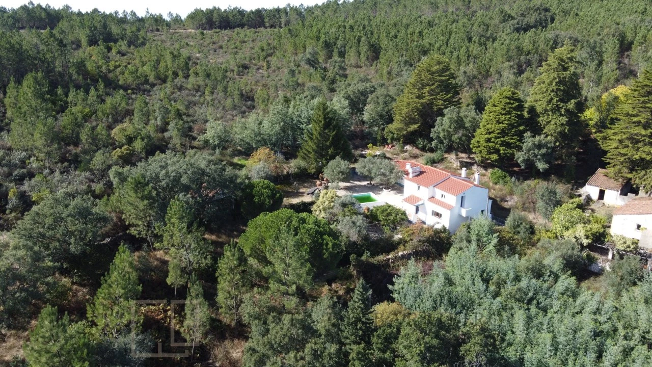 Quinta T3 para Venda em São Salvador da Aramenha Foto 12