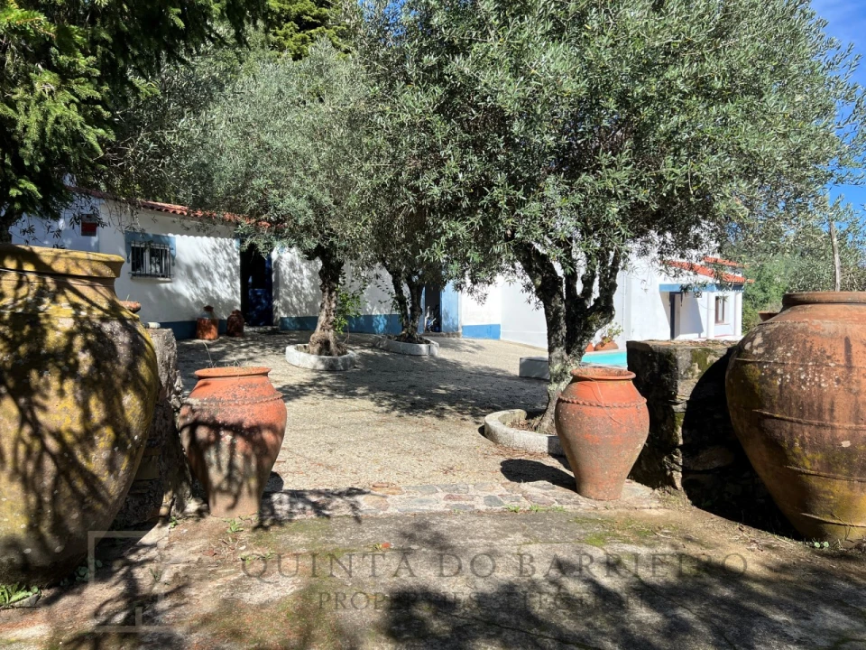 Quinta T3 para Venda em São Salvador da Aramenha Foto 17