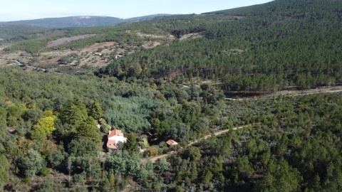 Quinta T3 para Venda em São Salvador da Aramenha