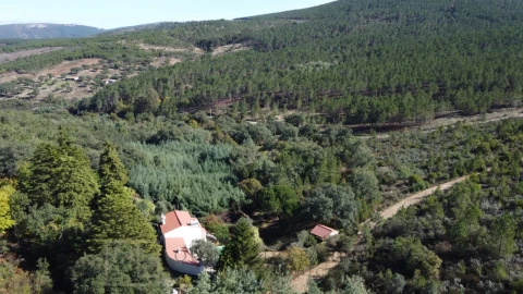 Quinta T3 para Venda em São Salvador da Aramenha