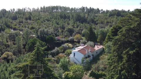 Quinta T3 para Venda em São Salvador da Aramenha