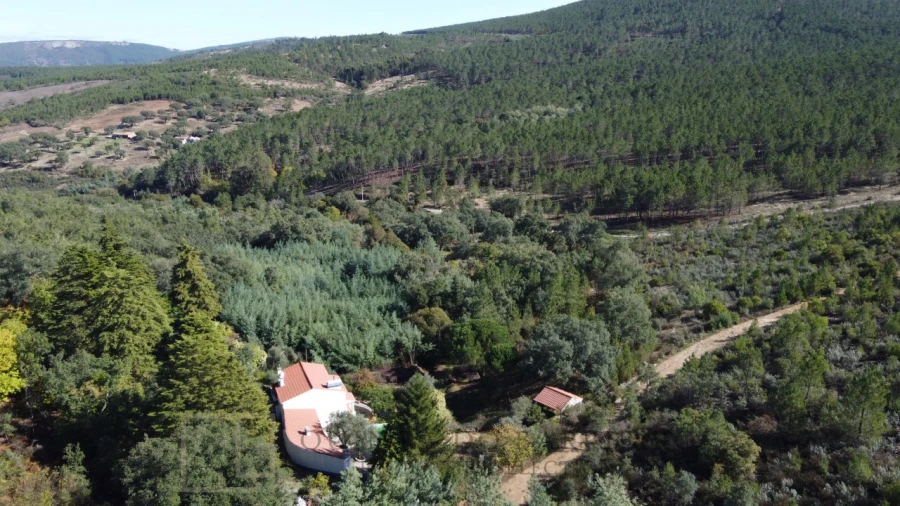 Quinta T3 para Venda em São Salvador da Aramenha Foto 11