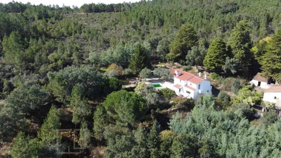 Quinta T3 para Venda em São Salvador da Aramenha Foto 12