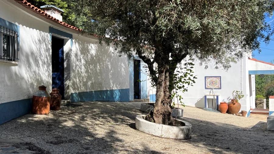 Quinta T3 para Venda em São Salvador da Aramenha