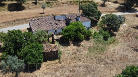 Quinta T5 para Venda em Alegrete