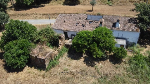 Quinta T5 para Venda em Alegrete