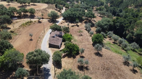 Quinta T5 para Venda em Alegrete