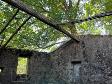 Quinta T5 para Venda em Alegrete