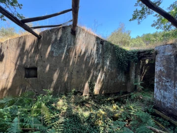 Quinta T5 para Venda em Alegrete