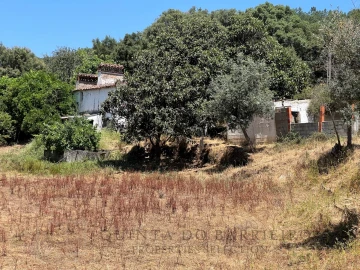 Quinta T5 para Venda em Alegrete