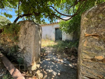 Quinta T5 para Venda em Alegrete