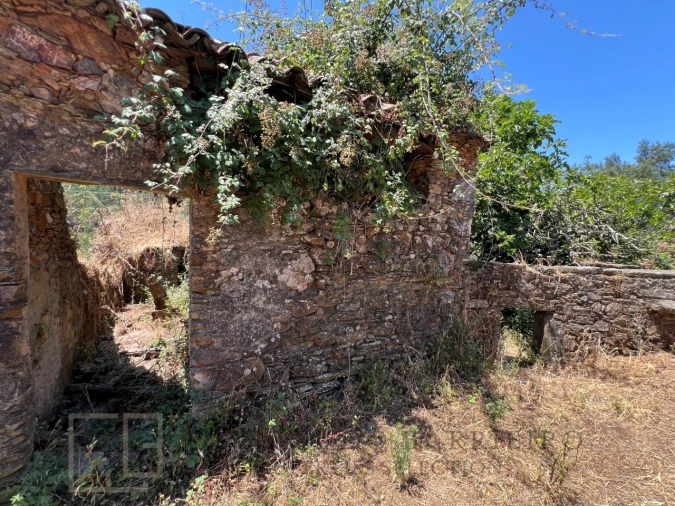 Quinta T5 para Venda em Alegrete Foto 51